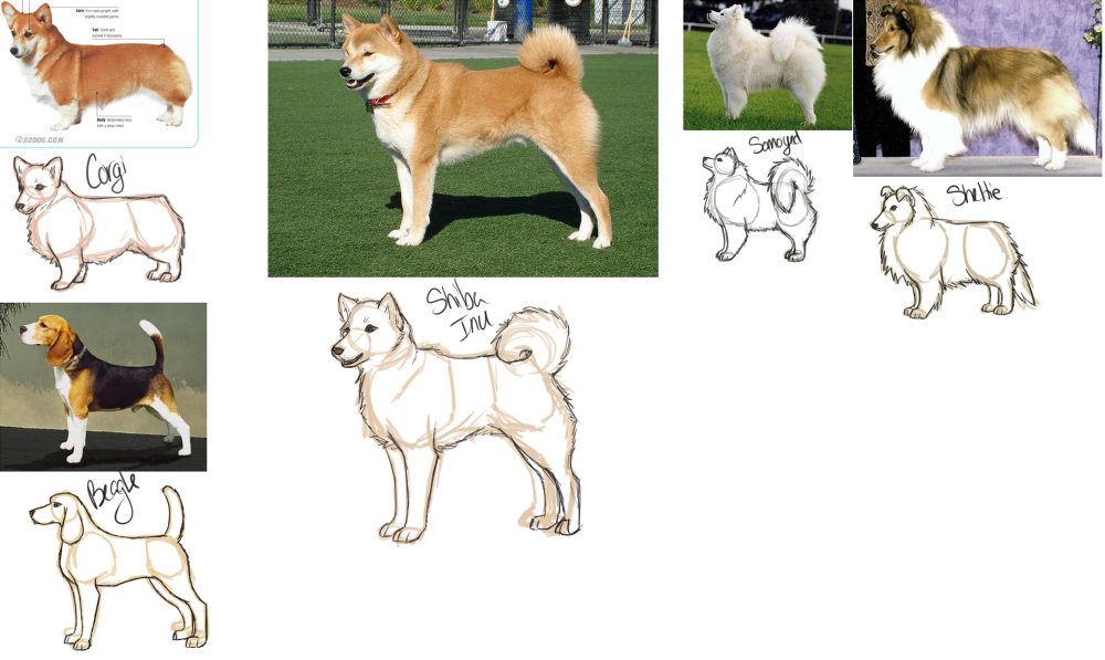 dogs5.png