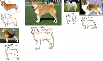 dogs5.png