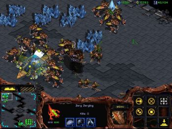 Zerg 4.jpg