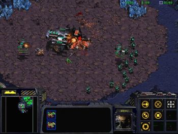 Terran 2.jpg